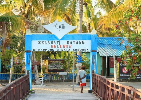 Desa Arborek