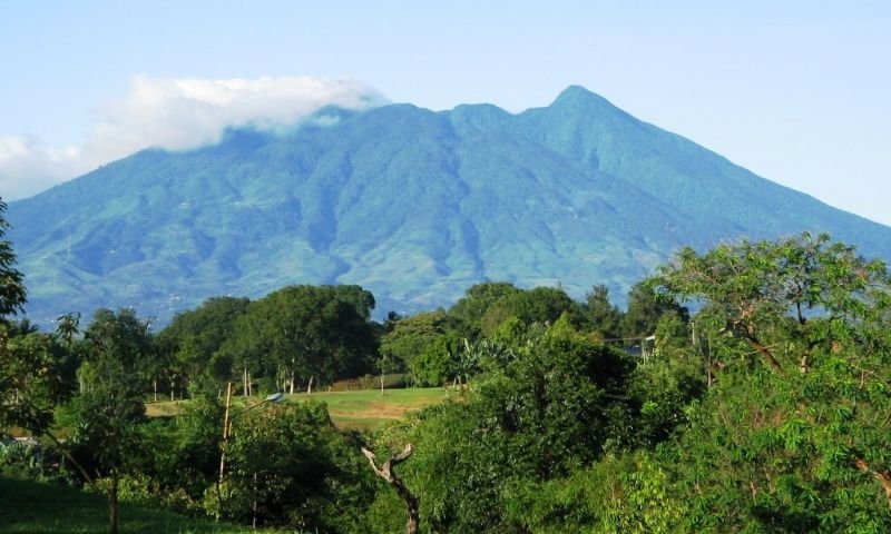 Gunung Palung
