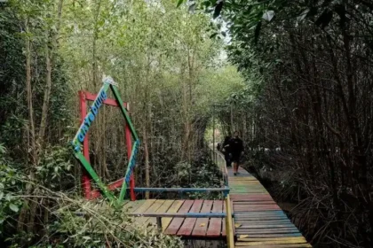 Hutan Mangrove