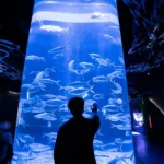 Jakarta Aquarium