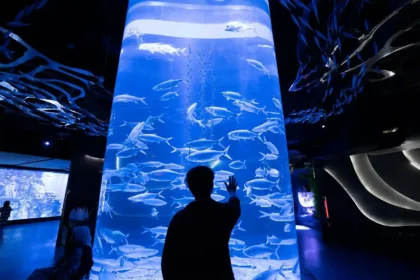 Jakarta Aquarium