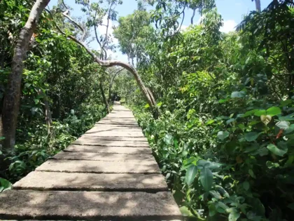 Pulau Kembang
