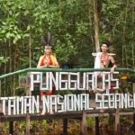 Sebangau