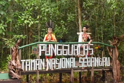 Sebangau