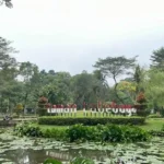 Taman Tabebuya
