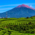 Gunung Kerinci