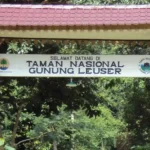 Gunung Leuser