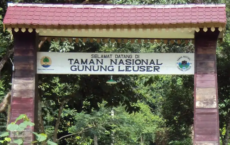 Gunung Leuser