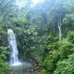 Pagar Alam