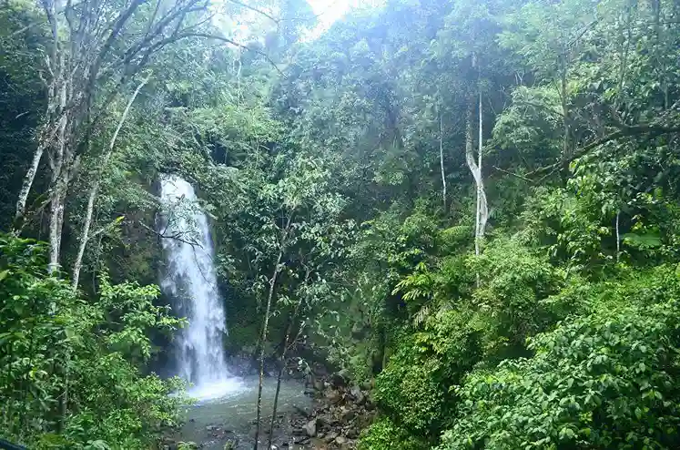 Pagar Alam