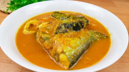 Tempoyak Patin