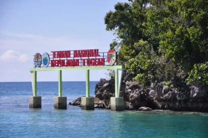 Togean